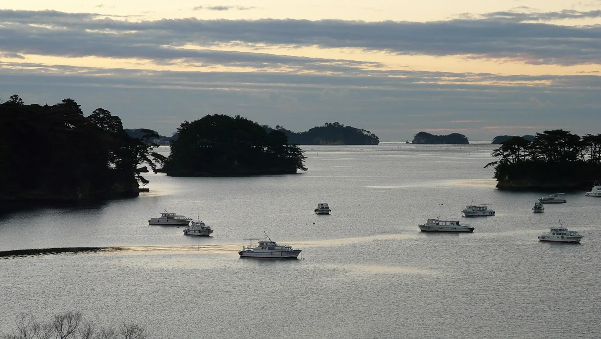 Sightseeing boats among the pine islands on Matsushima Bay, the view most Matsushima Bay tours are built around