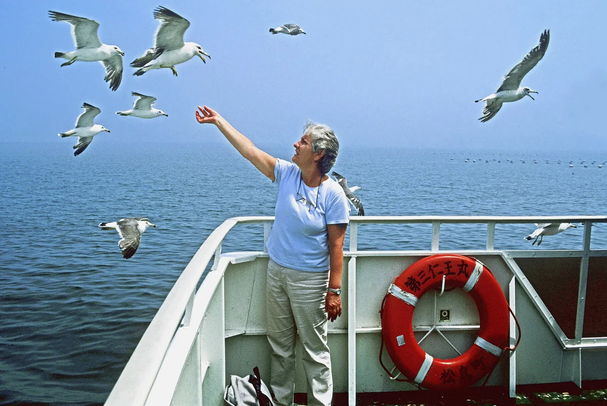 A passenger feeding gulls from the deck on a Matsushima Bay cruise