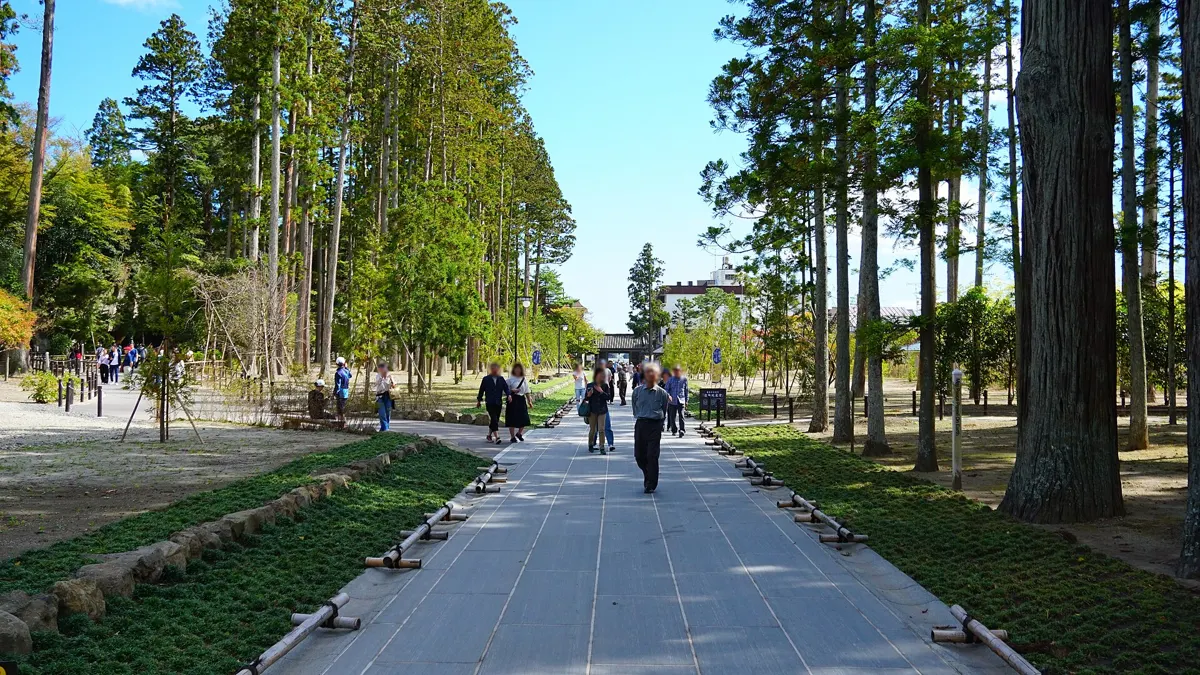 The cedar-lined approach to Zuiganji Temple on a Sendai and Matsushima half-day private tour